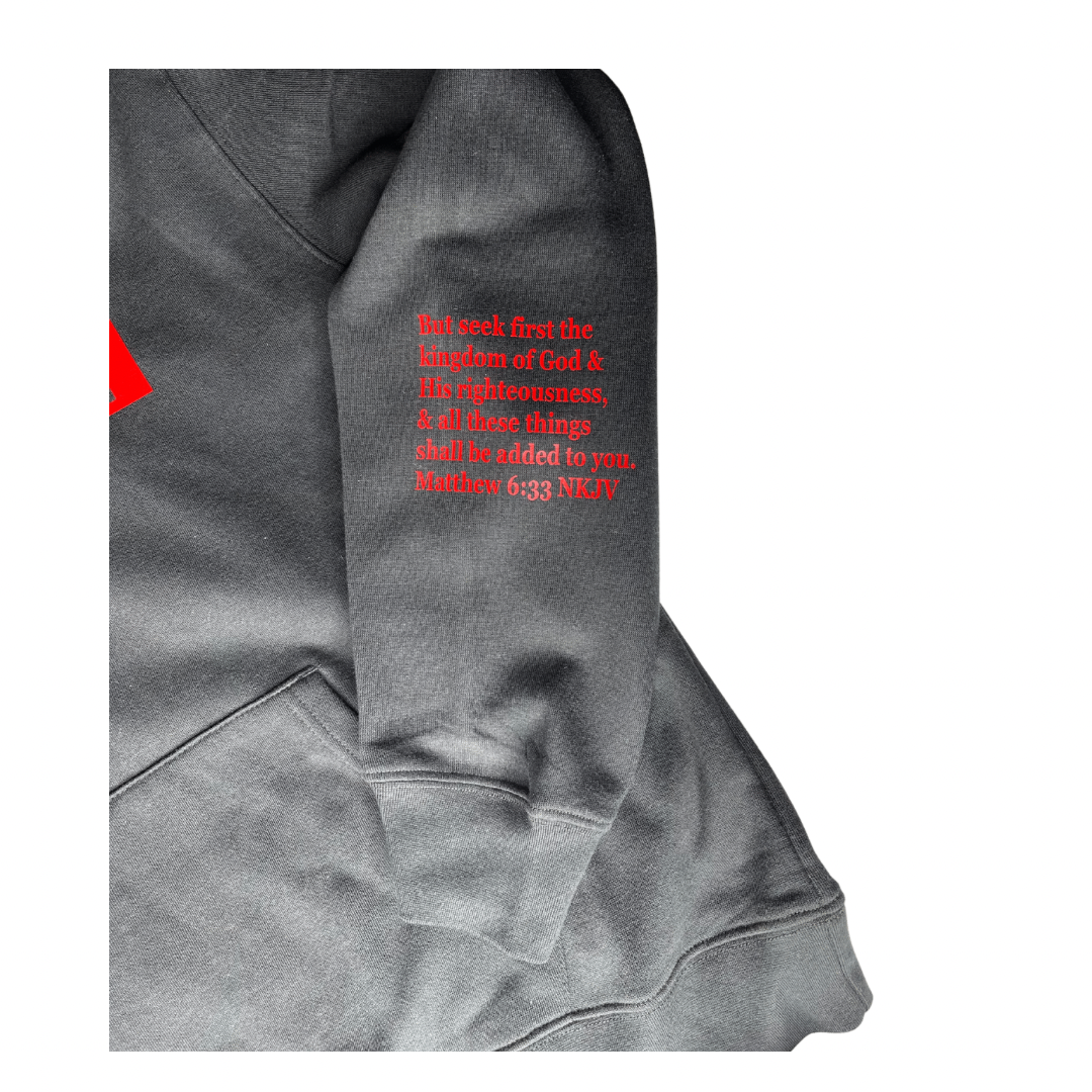 God Family money Hoodie